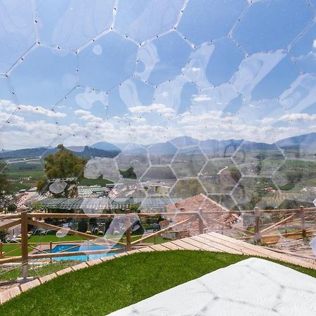 Finca Puerto Ermita - Cerca Malaga 20Km - Pizarra Dış mekan fotoğraf